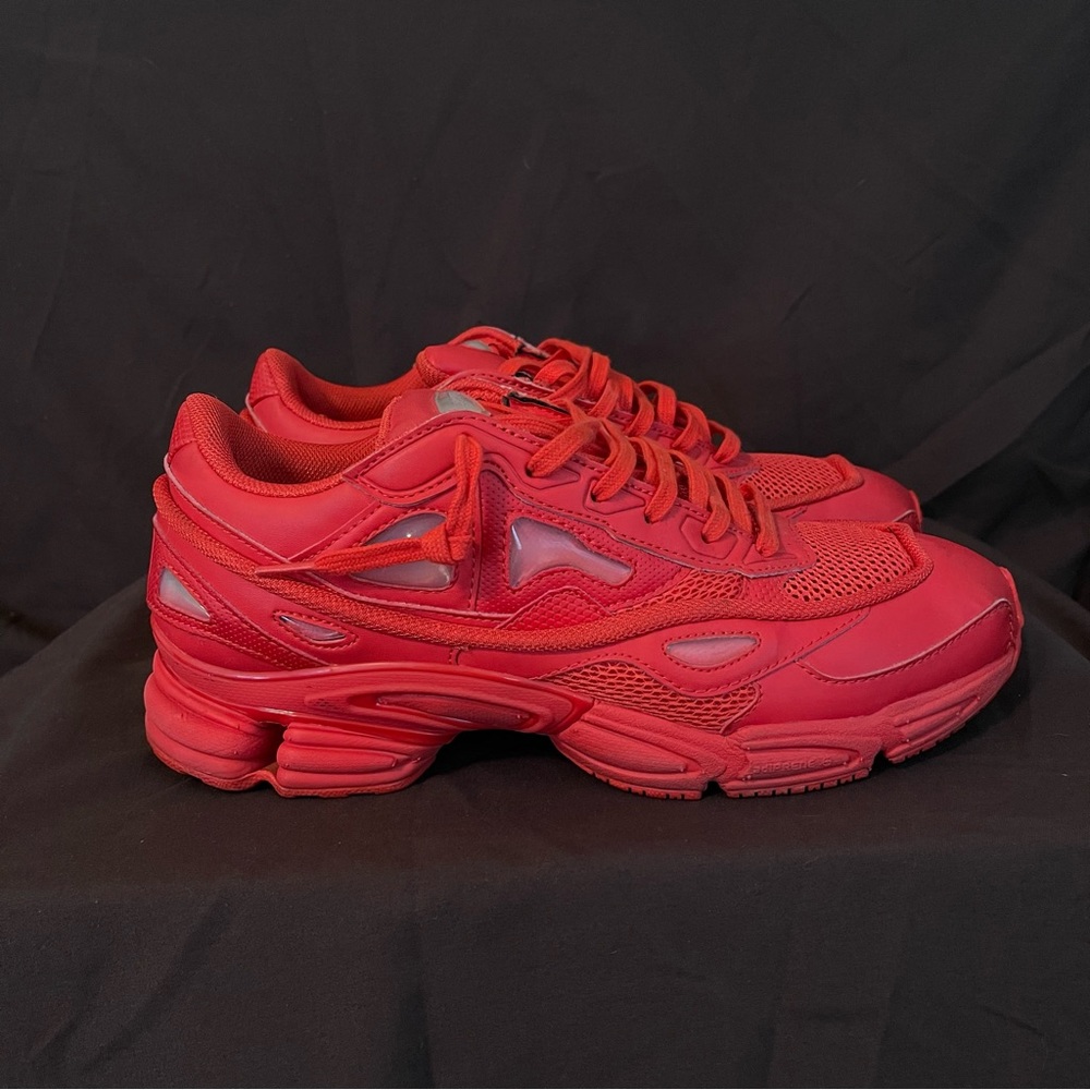 RAF Simons x Ozweego